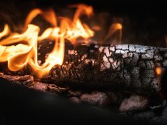 Dinas Damkar Pasaman Hapus Sarang Tawon di Lapangan