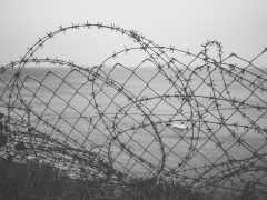 Sosialisasi Pencegahan oleh Dinas Damkar Pasaman di Kantor Walikota